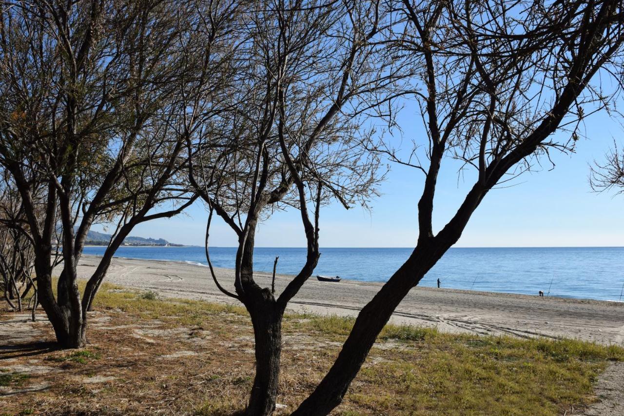 Accomodati B&B Marina di Gioiosa Ionica Eksteriør bilde